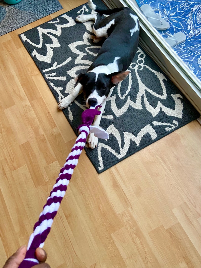 Fleece Dog Pull Toy // Square Knot Dog Toy // Fleece Dog Toy Etsy