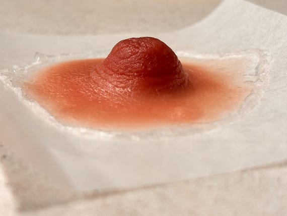 Breast Cancer Awareness Hyper Realistic Nipple Prosthetics in Soft Silicone- Handmade by Artist