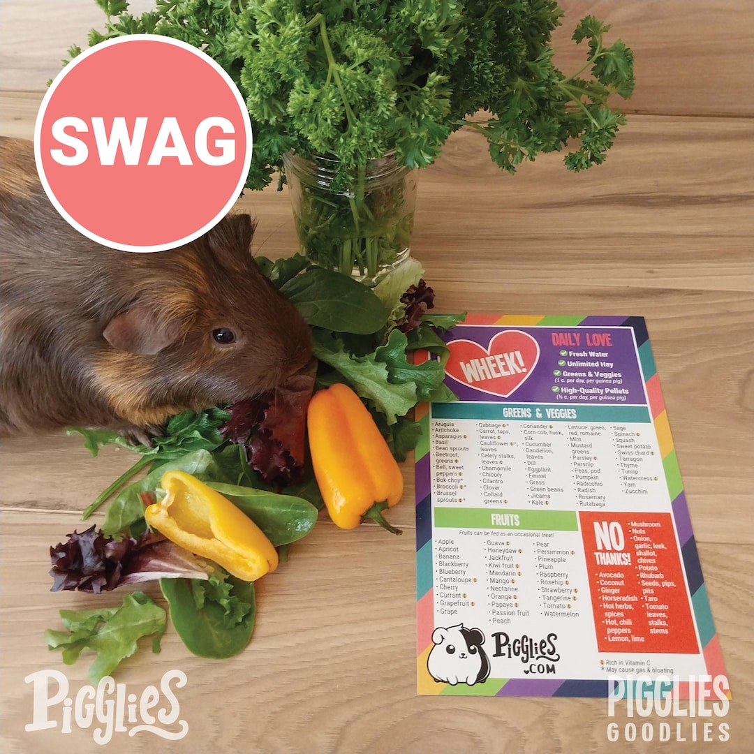 Curated visual reference: Gallery Detail: Pigglies Guinea Pig Food Guide Fridge Magnet 5 X8