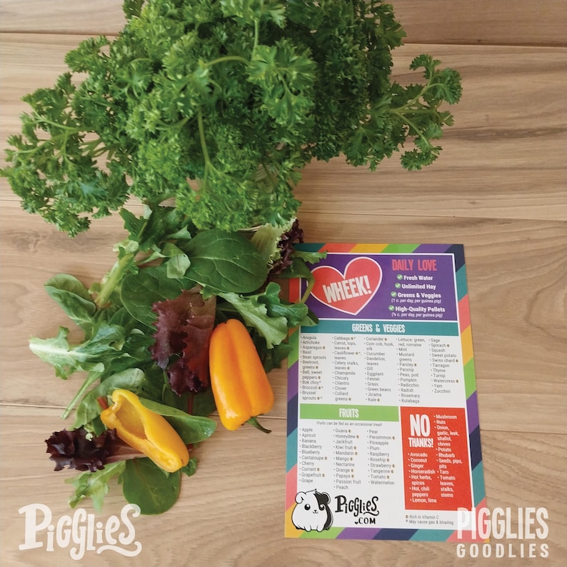 Pigglies Guinea Pig Food Guide Fridge Magnet - 5"x8" - Etsy