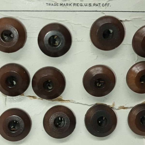 Antique LaMode Vegetable Ivory Brown Buttons on Original Card 12 PC Over 100 Yrs Old #E1136