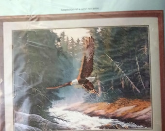 Sunset Northern Heritage Eagle, Rick Kelley, Counted Cross Stitch Picture Kit 18x24 Unused #N153