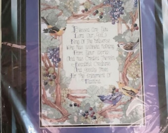 Bucilla Blessed Are You, Birds & Grape Vines Counted Cross Stitch Picture Kit 11x14 Unused #N256