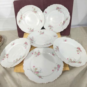 Vintage Old Roses,  Gold Scallop Edge 6 Pc Lunch Plates Set Dinnerware Germany Green Crown Brand #J687