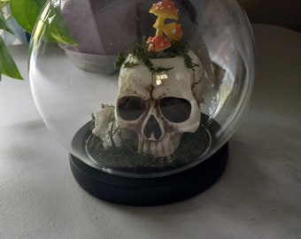 Gothic Crystal, Mushroom Skull globe