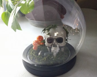 Skull and Mushroom Globe Decor