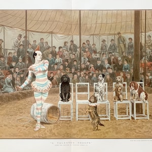 RARE 1886 Une troupe de chiens talentueux / Clown / Cirque - Grande lithographie couleur double page ancienne / Coloriée en partie à la main / Charles Green