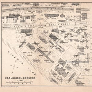 May include: A black and white printed map of the Zoological Gardens in Regent's Park, featuring labeled animal enclosures, pathways, and buildings. The map includes a compass rose, a scale in feet, and the text 'ZOOLOGICAL GARDENS 1:2840'.