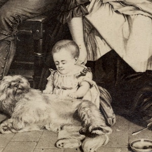 1860s - 1870s Antique CDV Photograph. Family with Dog