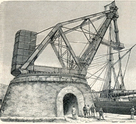 1895 Deutsche antike Gravierung von Kränen größere Version | Etsy