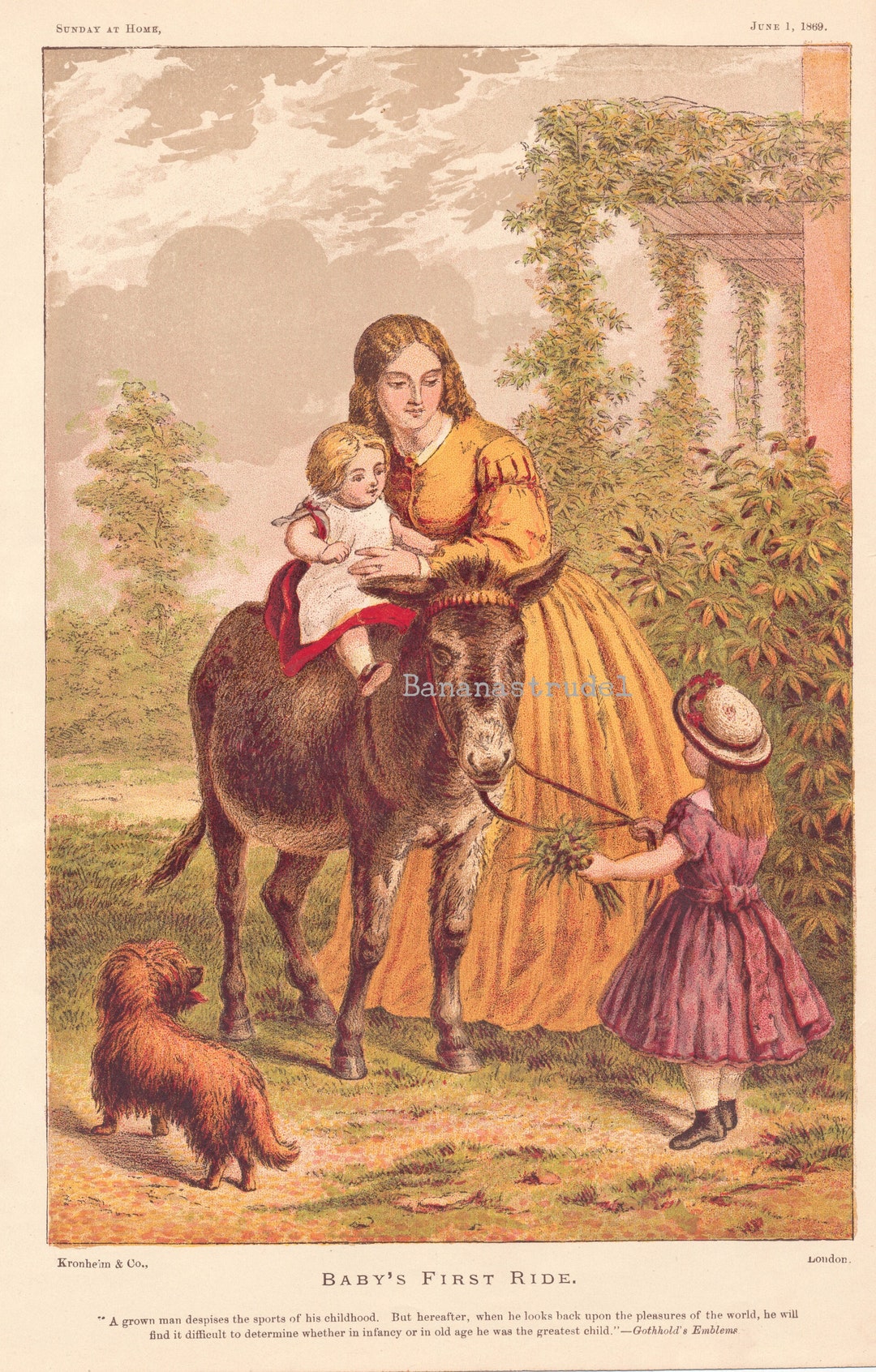 Antique Print Baby's First Ride Published 1869 - Etsy