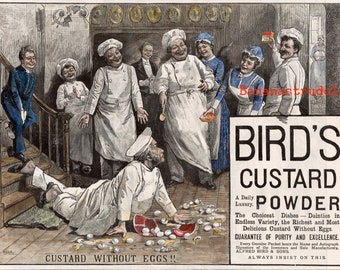 Birds Custard That's The idea - Metal Wall Sign