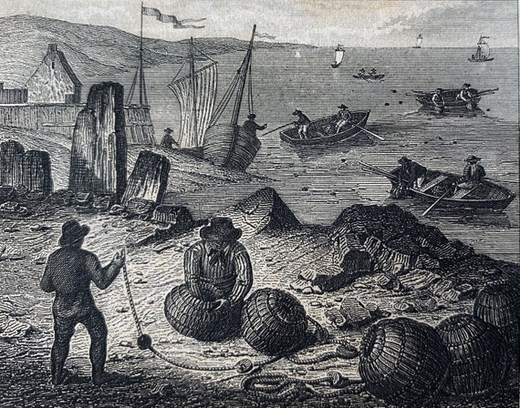 Pisciculture la truite d'Ossau - Pêche à LOUVIE-JUZON (64