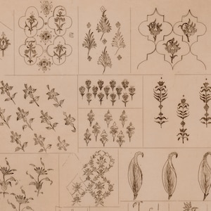 Antique 1859 Indo-Persian Floral Engraving, Adalbert de Beaumont Plate 101, Rare Botanical Print