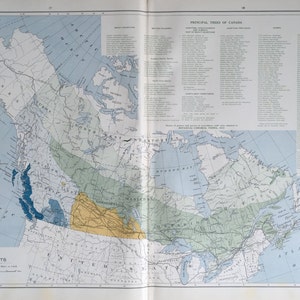 Antike Karte der kanadischen Wälder - 1915 Wälder und Bäume von Kanada