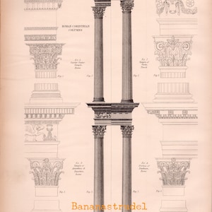 May include: A black and white illustration of Roman Corinthian columns from the Encyclopædia Britannica, Ninth Edition. The image shows different examples of the column style, including the Temple of Jupiter Stator, the Temple of Vesta, the Temple of Antoninus and Faustina, and the Portico of Livia. The image is labelled "Roman Corinthian Columns" and "Plate XIV".