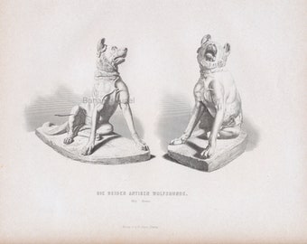 Antique Print of Wolfhounds - Antique Sculptures from Florence -  Published 1876