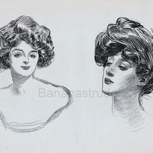 1907 Antique Gibson Girl Portrait Two Gibson Girls Untitled Gibson Portrait 13 image 1