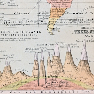 Ancienne carte illustrée de 1887 de la répartition des arbres, des arbustes, des céréales et des fruits - Géographie physique - LDN