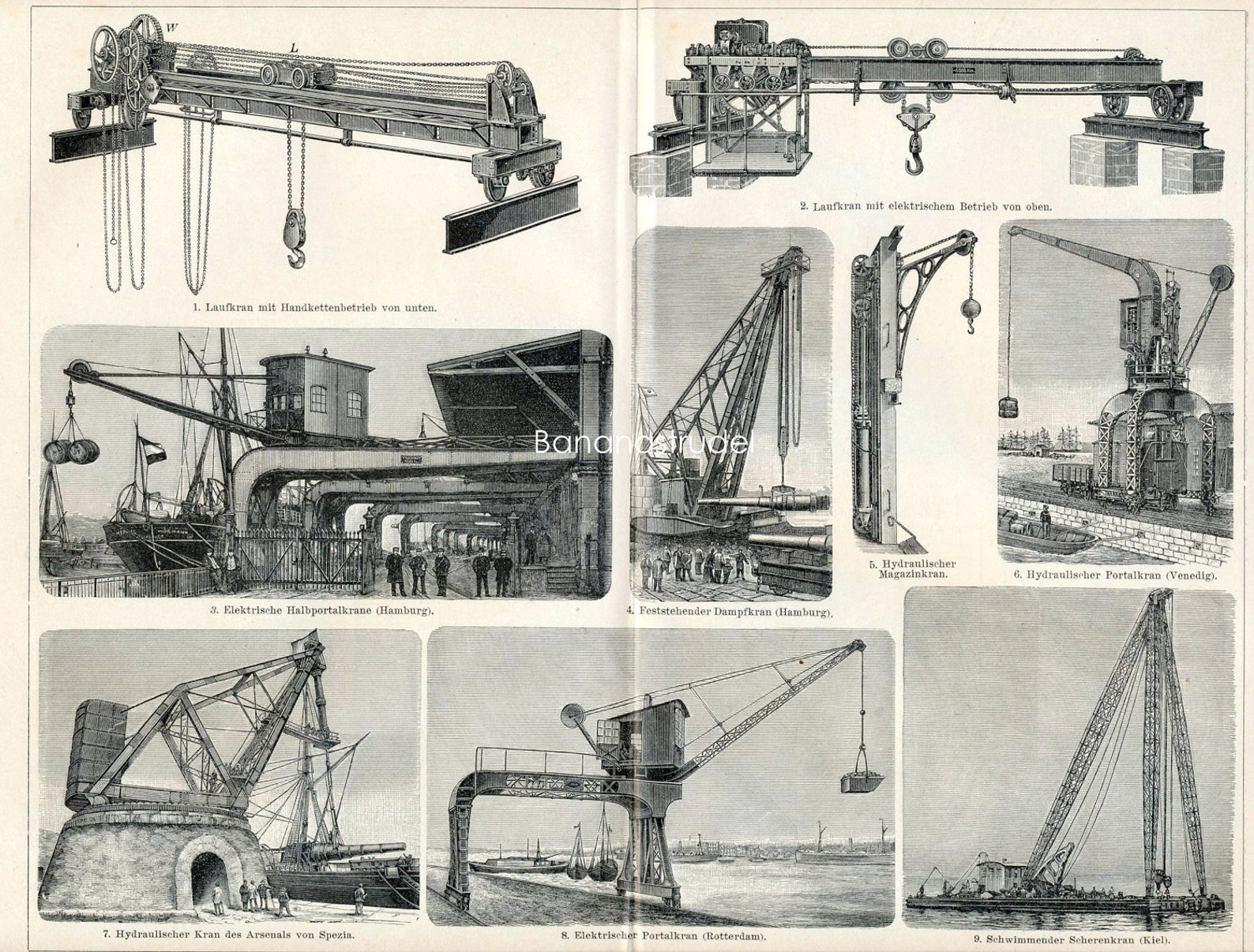 1895 Deutsche antike Gravierung von Kränen größere Version | Etsy