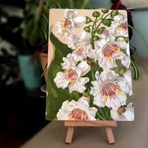 Antique Print of White Flowers on Panel - Rare 1890 Chromolithograph