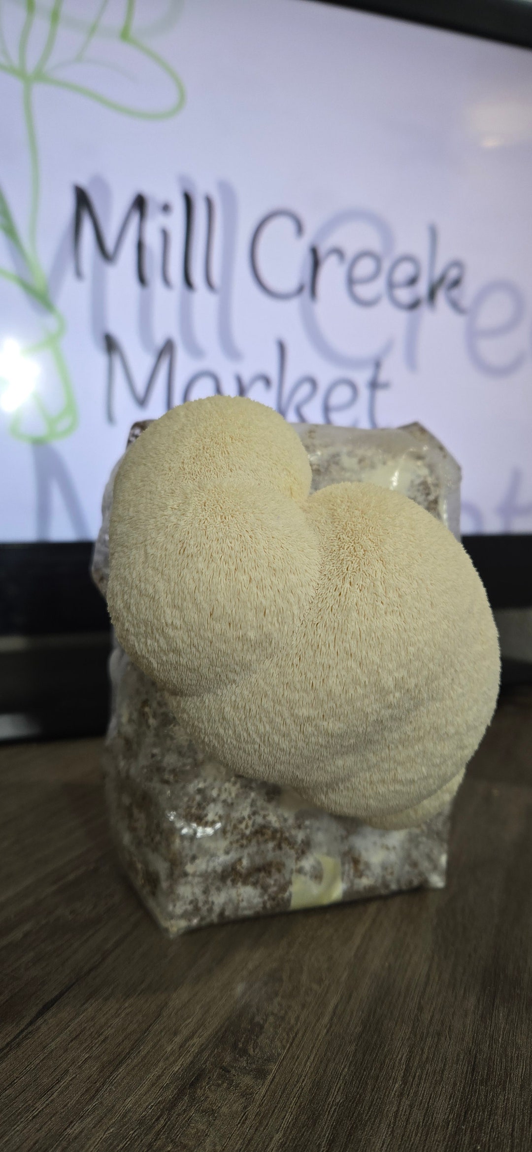 Picture of 2lb Sterile Bulk Mushroom Substrate Bag - Etsy