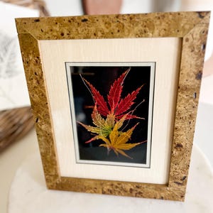 May include: A rectangular picture frame with a textured, mottled brown finish containing a pressed botanical display. The artwork features three overlapping maple leaves in vibrant shades of red, orange, and yellow against a black background.