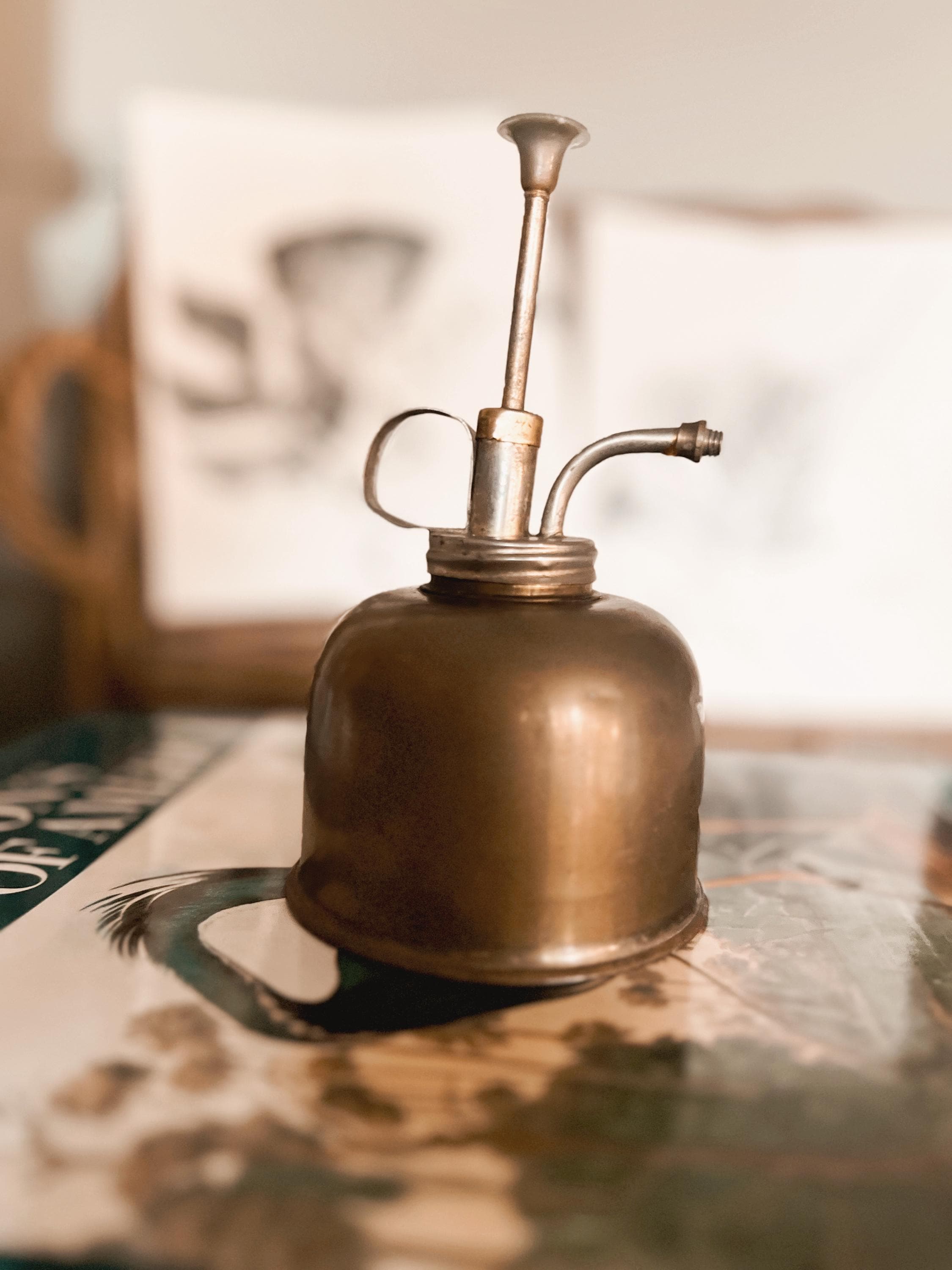 Vintage Metal Garden Sprayer - Etsy