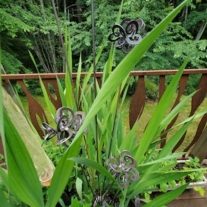 Garden Art - Garden Sculpture - Metal Swirls - Set of 5 welded on a base
