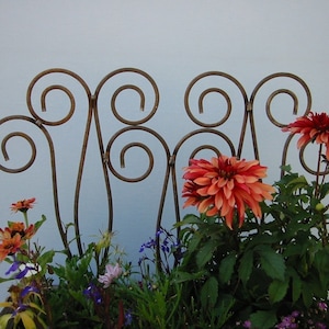 Metal Swirl Scroll Fence