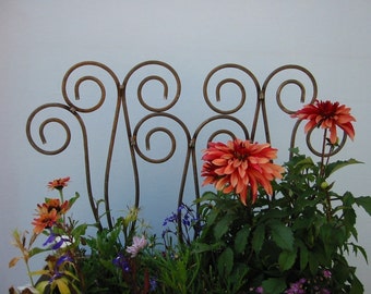 Metal Swirl Scroll Fence