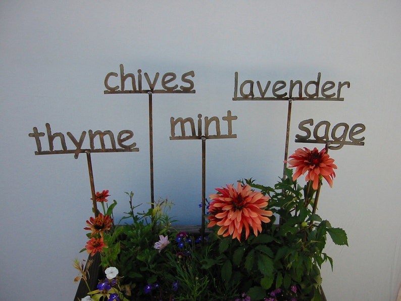 CHOOSE ANY 3 Metal Garden Sign/Markers for your Herbs 13 to choose from...19 Inches Tall image 1