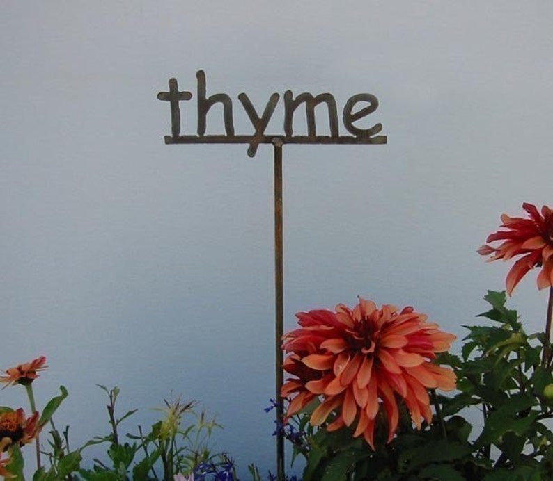 CHOOSE ANY 3 Metal Garden Sign/Markers for your Herbs 13 to choose from...19 Inches Tall image 2