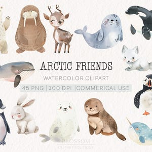 Ensemble de cliparts aquarelle animaux de l'Arctique | Animaux polaires mignons | Utilisation commerciale | 45 fichiers PNG | 300 ppp | Téléchargement instantané | Art déco pour chambre d'enfant