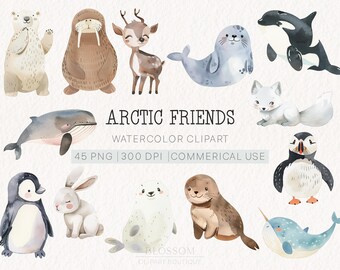 Watercolor Clipart Arctic Animals Set | Cute Polar Wildlife | Commercial Use | 45 PNG Files | 300 DPI | Instant Download | Nursery Decor Art