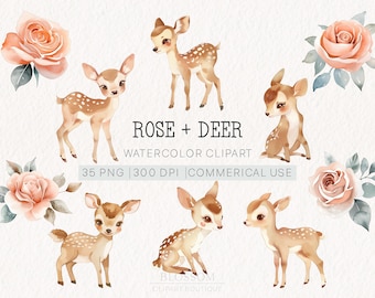 Watercolor Deer and Rose Clipart Set | 35 PNG | Commercial Use | Cute Fawn Illustrations | Floral Woodland Animal Graphics | Printables