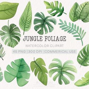 Aquarel clipart jungle gebladerte | Tropische bladafbeeldingen | Commercieel gebruik | 45 png-bestanden | 300 dpi | Direct downloaden | Botanische clipart
