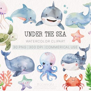 Aquarell Meerestiere Clipart Bundle | Niedliche Aquarell Meerestiere für Kinder | Digitaler Download | PNG | Kinderzimmer Dekor | Babyparty