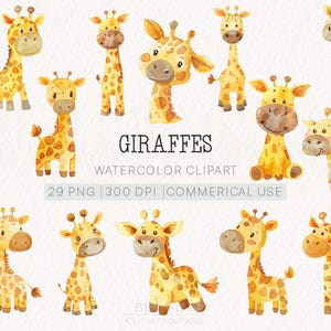 Set di clipart di giraffa ad acquerello / 29 PNG / 300 DPI / Uso commerciale / Grafica di giraffa carina / Illustrazioni di animali del safari nella giungla