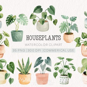 Aquarell Zimmerpflanzen Clipart Bundle | Topfpflanzen | Grün Illustrationen | Digital Download, DIY Kunsthandwerk | Drucksachen | Botanische Kunst