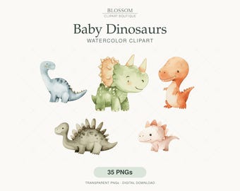May include: A collection of five watercolor baby dinosaur illustrations featuring a blue long-necked dinosaur, a green triceratops, an orange theropod, a grey stegosaurus, and a pink dinosaur. Text reads: BLOSSOM CLIPART BOUTIQUE Baby Dinosaurs WATERCOLOR CLIPART 35 PNGs.