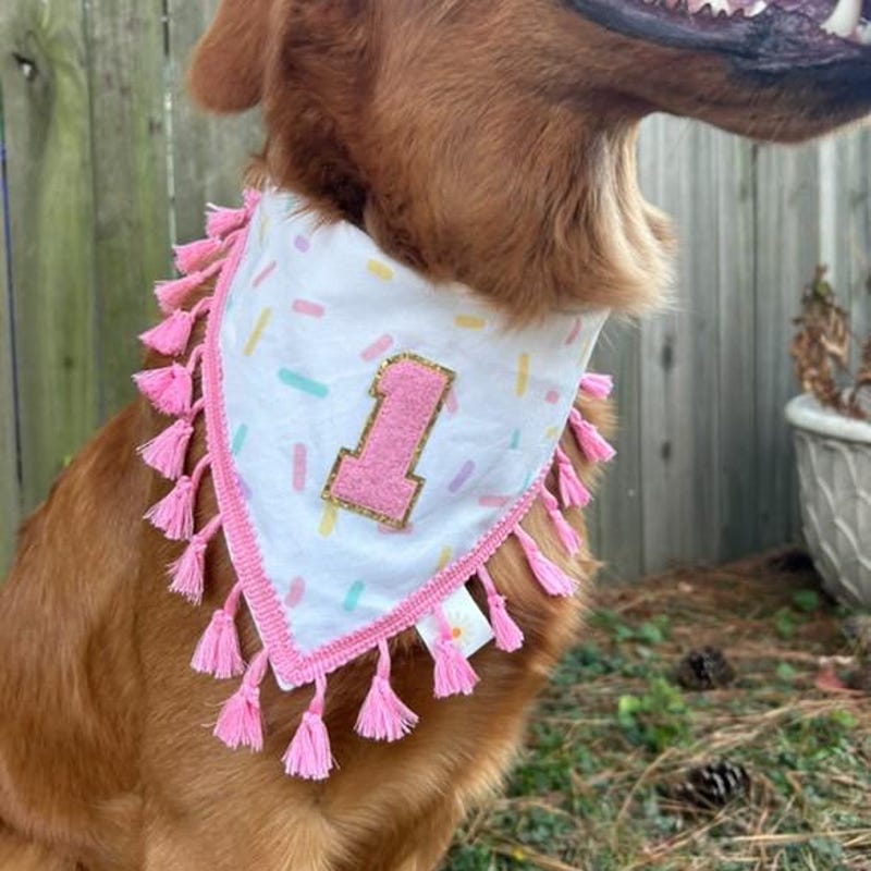 Customizable Birthday Bandana for Dogs & Cats, Gotcha Day Tie On Pet Bandana, Tassel Trim Bandana, Pet Birthday Party Accessory