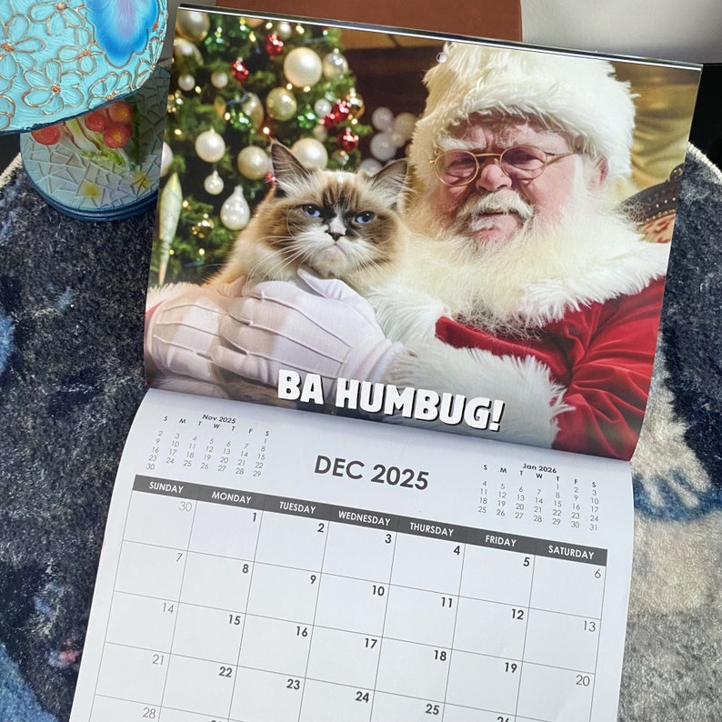 Funny Cat Calendar, 2025 Monthly Wall Calendar, Cat Themed Gifts for Cat Lovers, 2025 Peedoff