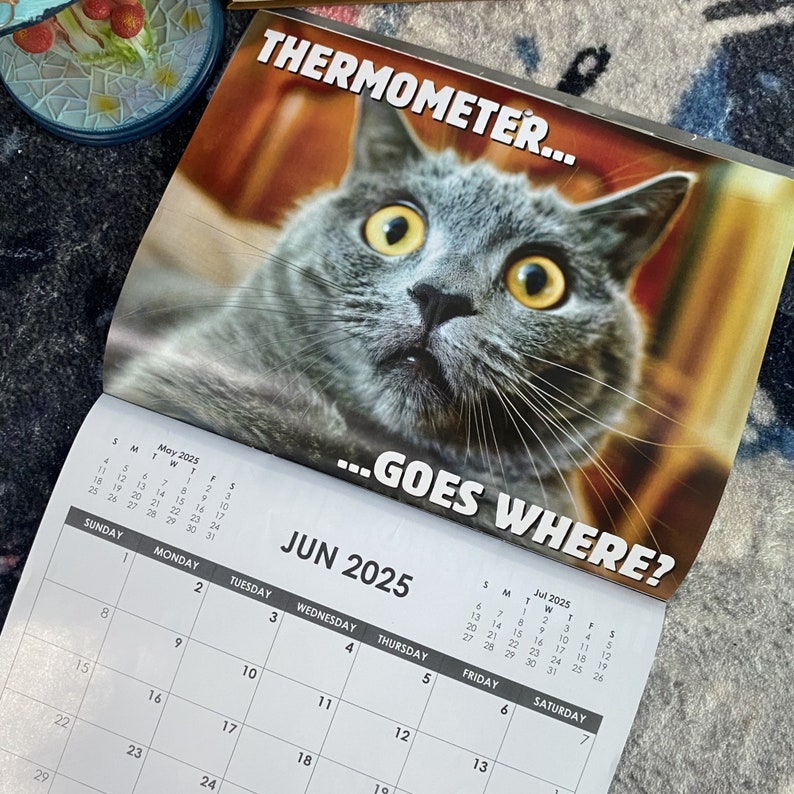 Funny Cat Calendar, 2025 Monthly Wall Calendar, Cat Themed Gifts for