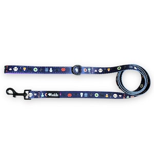 Spook-Tacular Dog Leash, Halloween Leash, Fall Leash