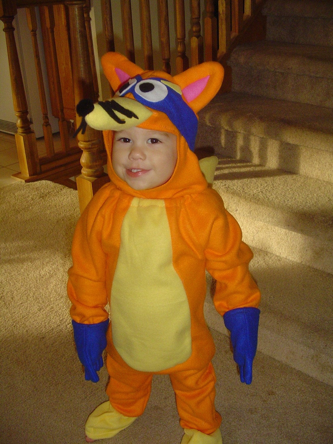 Swiper costume dora