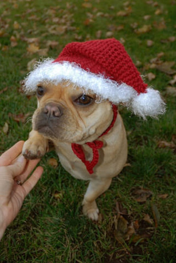 Items similar to Santa Dog Hat Crochet Pattern pdf108 permission to