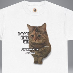 Shirt grappige kat, shirt kat meme, cadeau kat meme, kattenliefhebber grafisch T-shirt, grafisch T-shirt miauw, shirt kat citaat citaat, grappig cadeau voor kattenliefhebber