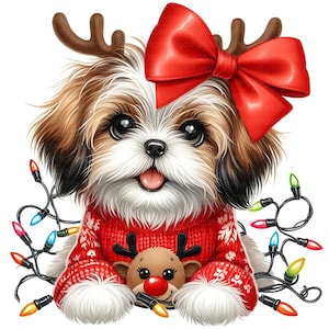Weihnachten Shih Tzu Clipart, Weihnachten Tier-Set, Winter Hund Bundle, Welpe Pullover, Weihnachtsbeleuchtung, Kokette Schleife, Rentierhund Urlaub Art