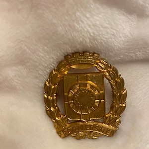 Può includere: Uno spillo in metallo dorato con un design a scudo circondato da una corona di alloro. Lo scudo presenta un sole stilizzato con raggi e un cerchio al centro. La corona di alloro ha uno stendardo in basso con il testo "BRANDENBURG".